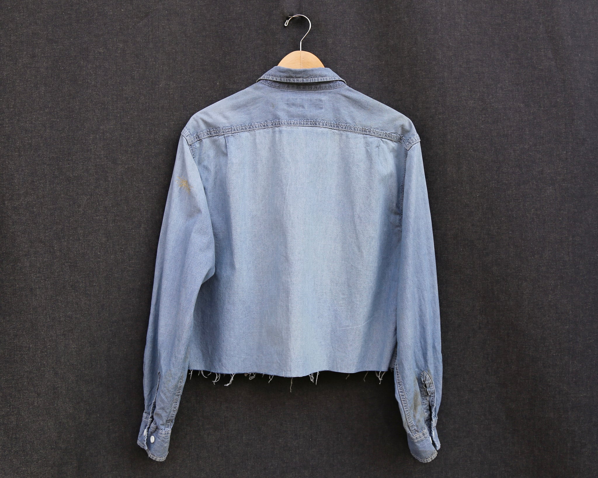 Alien Cowboy Cropped Chambray Shirt