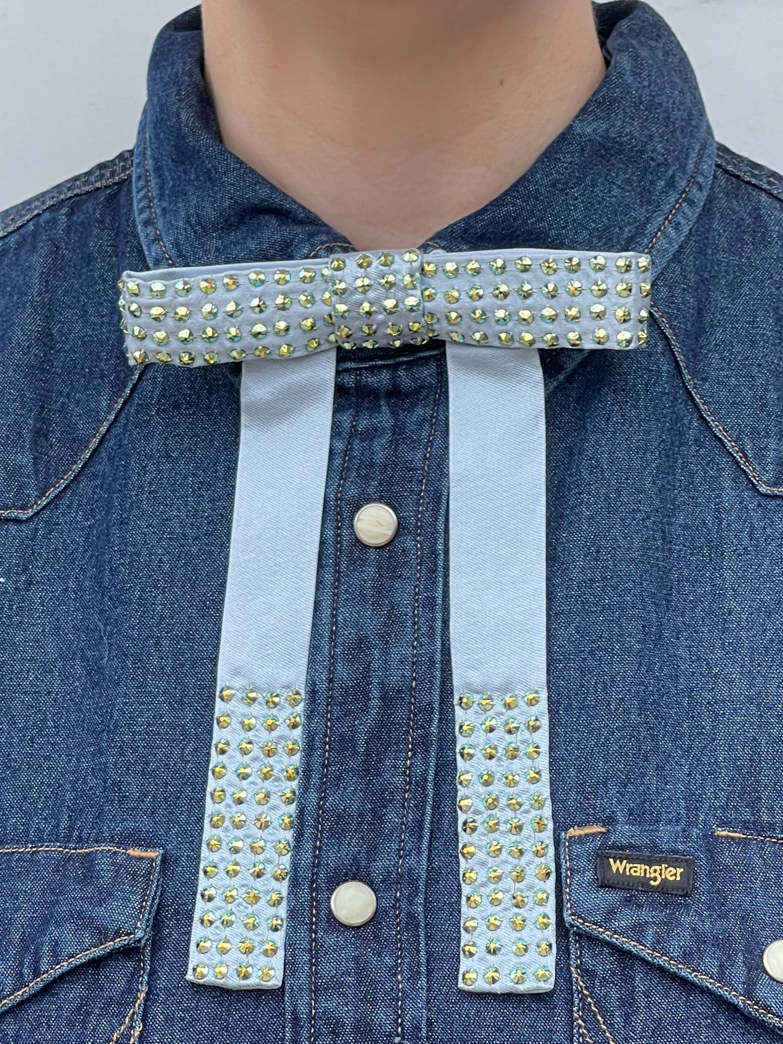 Fort Lonesome Limited Edition Rhinestone String Tie